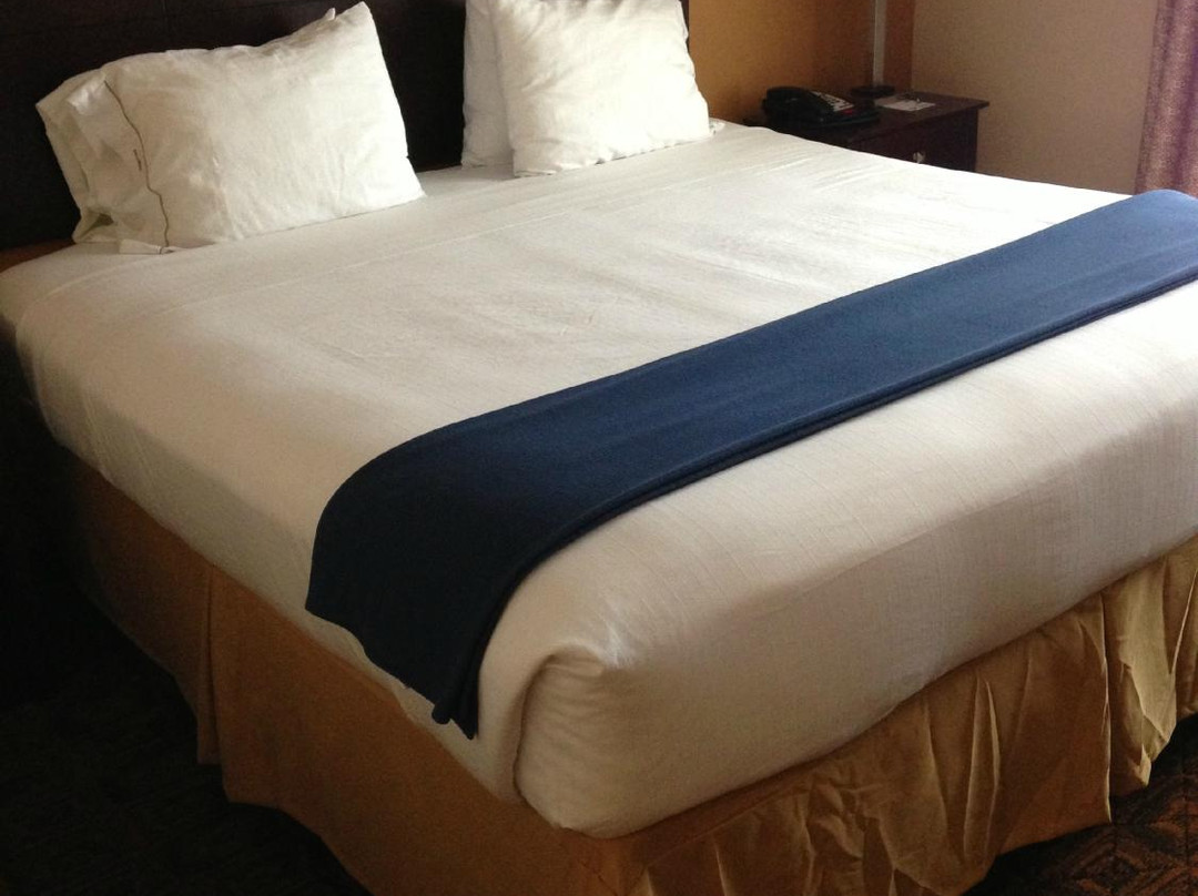 梅森酒店住宿-Holiday Inn Express & Suites Cincinnati - Mason By IHG