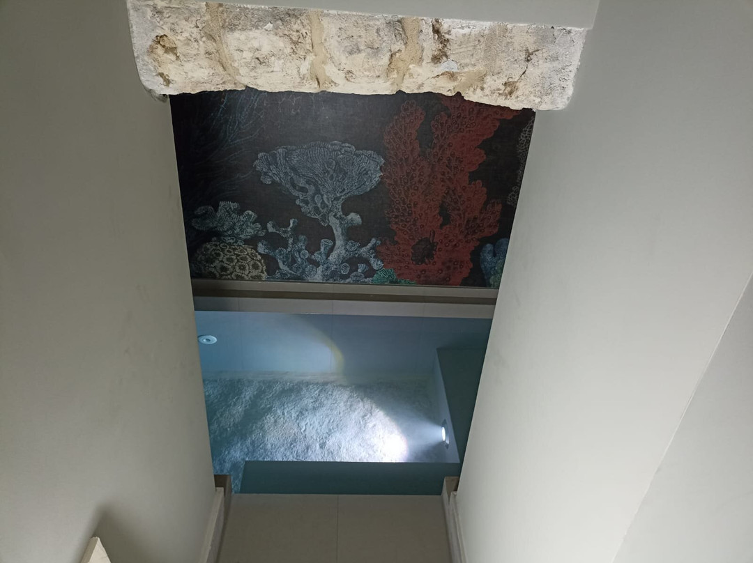 维斯城市套房及水疗