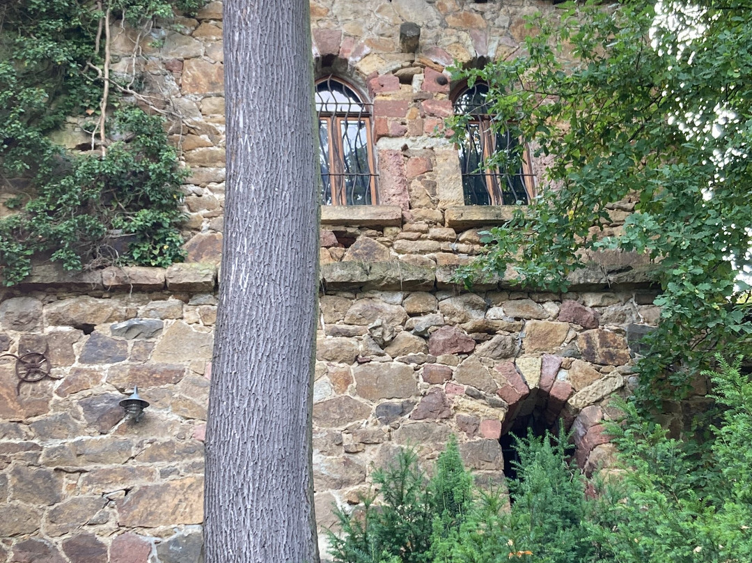 Bärenburg Grimma景点图片