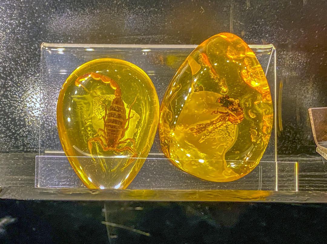 Museum at the Amber Combine景点图片