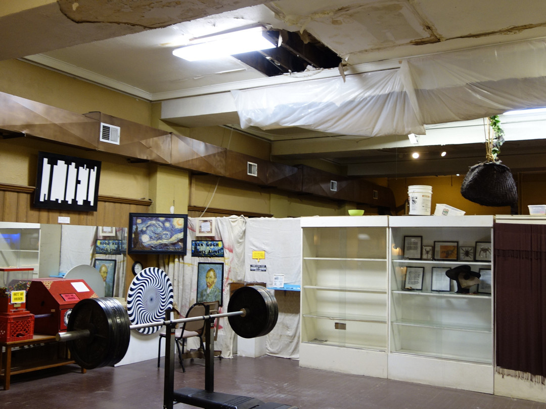 Curiosity Museum-奥尔顿塔必去景点