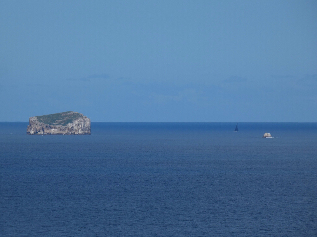 Waterfall Bay-伊格尔霍克内克必去景点