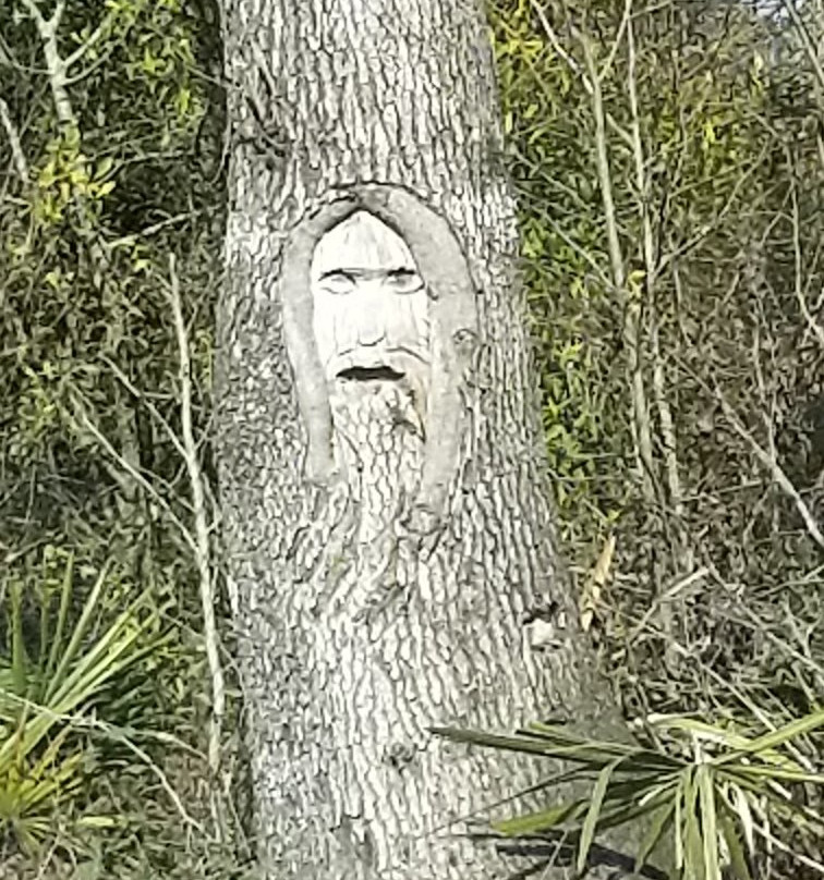 LeConte-Woodmanston Plantation and Botanical Gardens-Riceboro必去景点