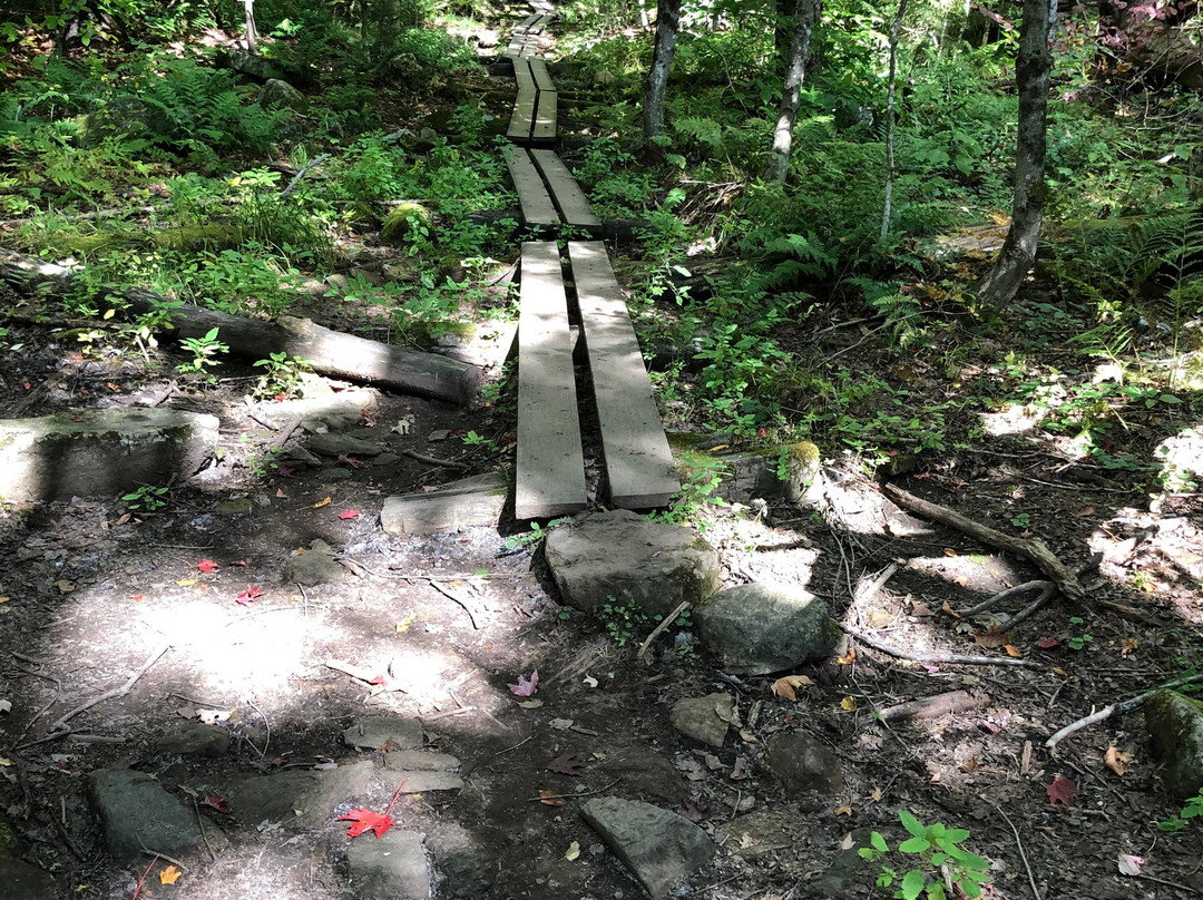 Harmon Hill-本宁顿必去景点