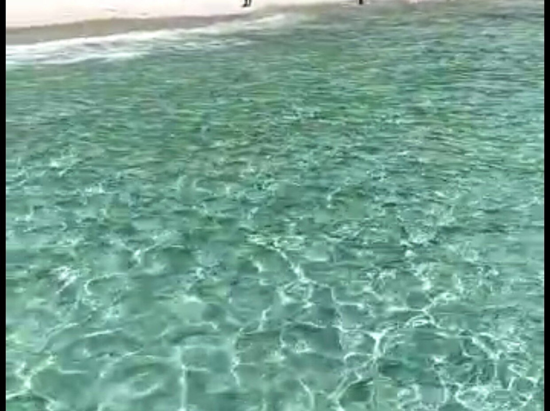 Embarcação Bigutur II-阿拉伊阿尔港必去景点