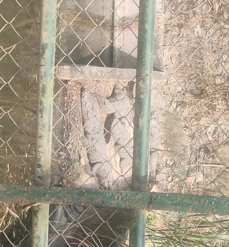 Assam State Zoo景点图片