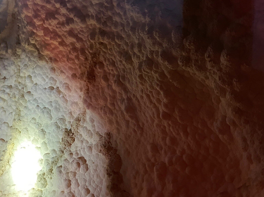 Grand Canyon Caverns Inn主图