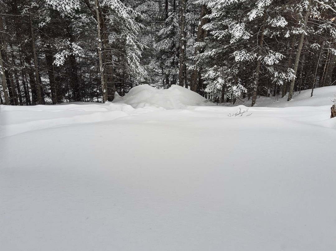 Sir Sam's-Eagle Lake必去景点