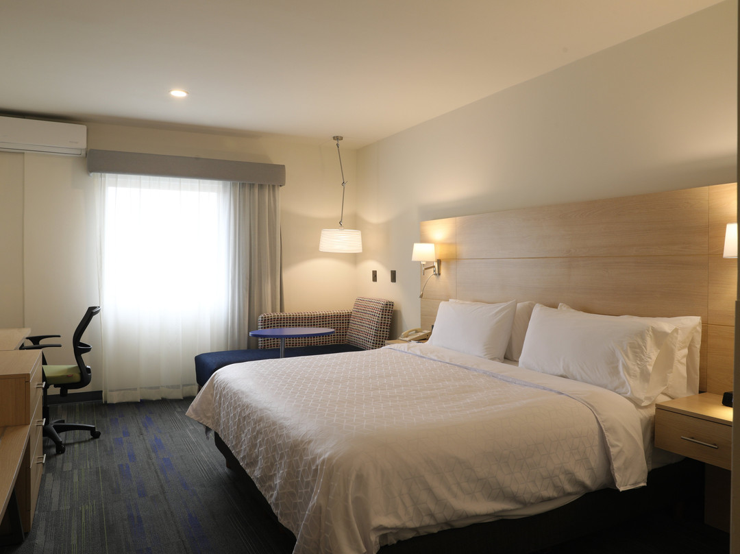 Holiday Inn Express Piedras Negras by IHG主图