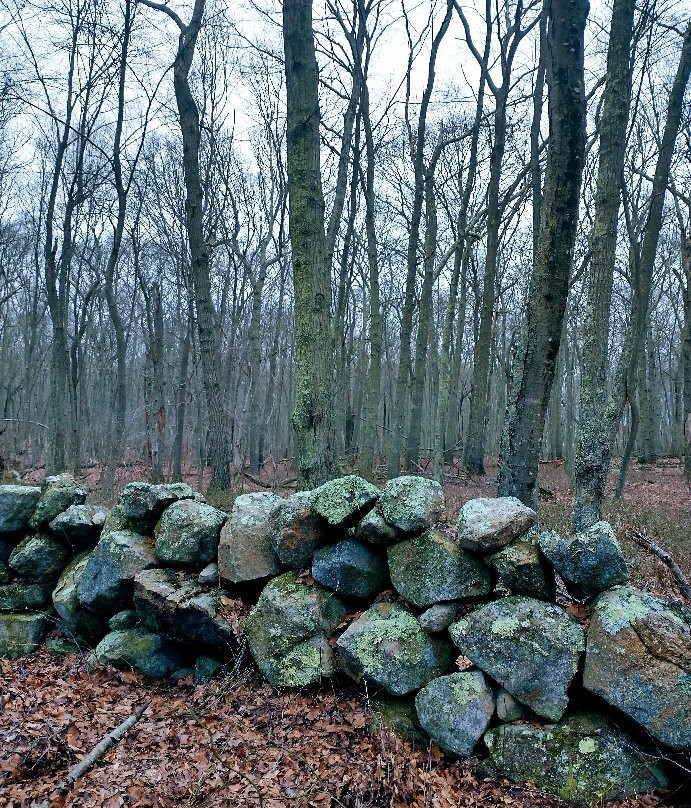 Bluff Point State Park景点图片