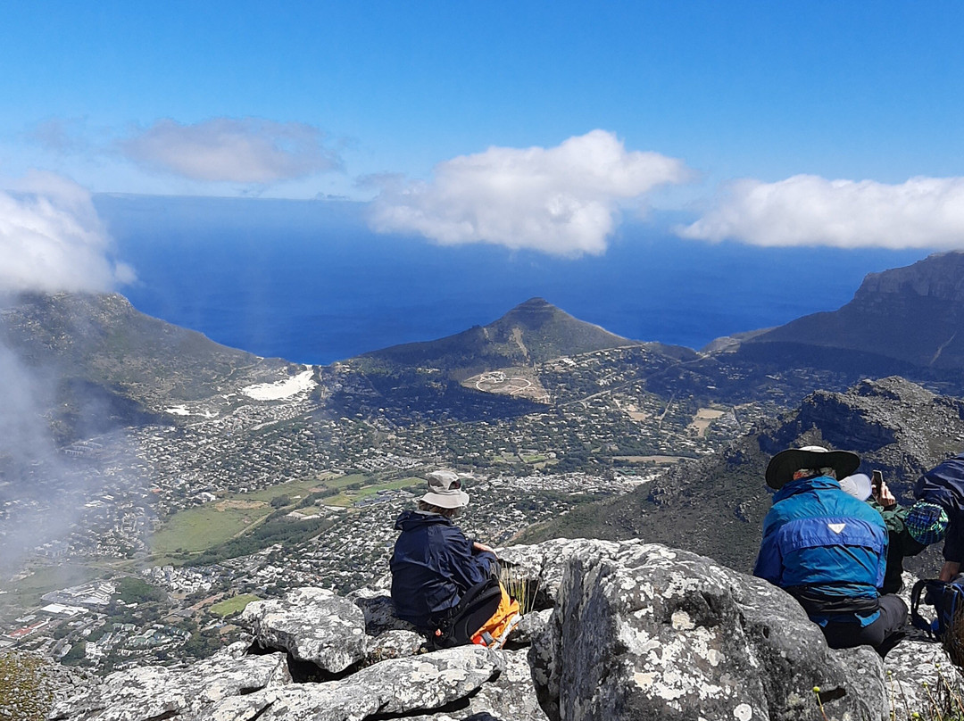 Durbanville wine hopper-Bellville必去景点