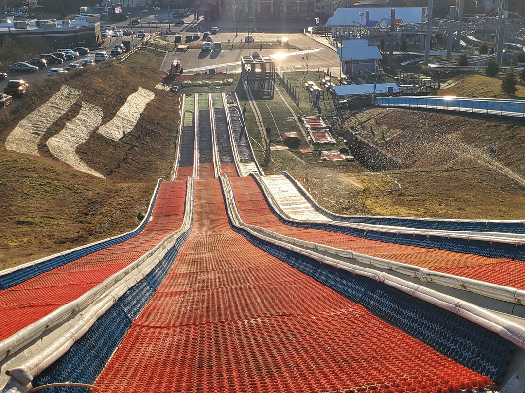 Ripley's Mountain Coaster-盖林柏格必去景点