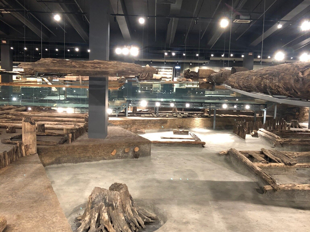 Tree Archaeology Museum景点图片