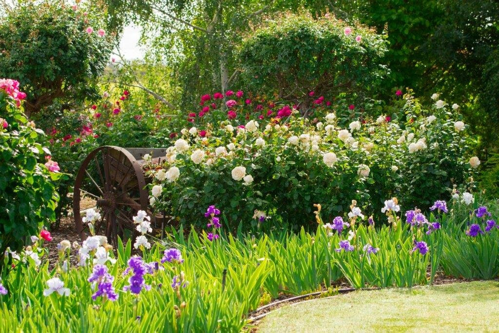 Mulberry Lodge Country Retreat主图