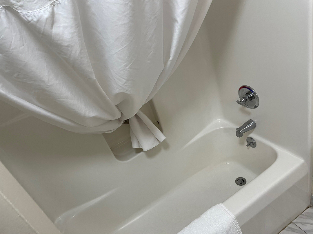 Econo Lodge Walterboro主图