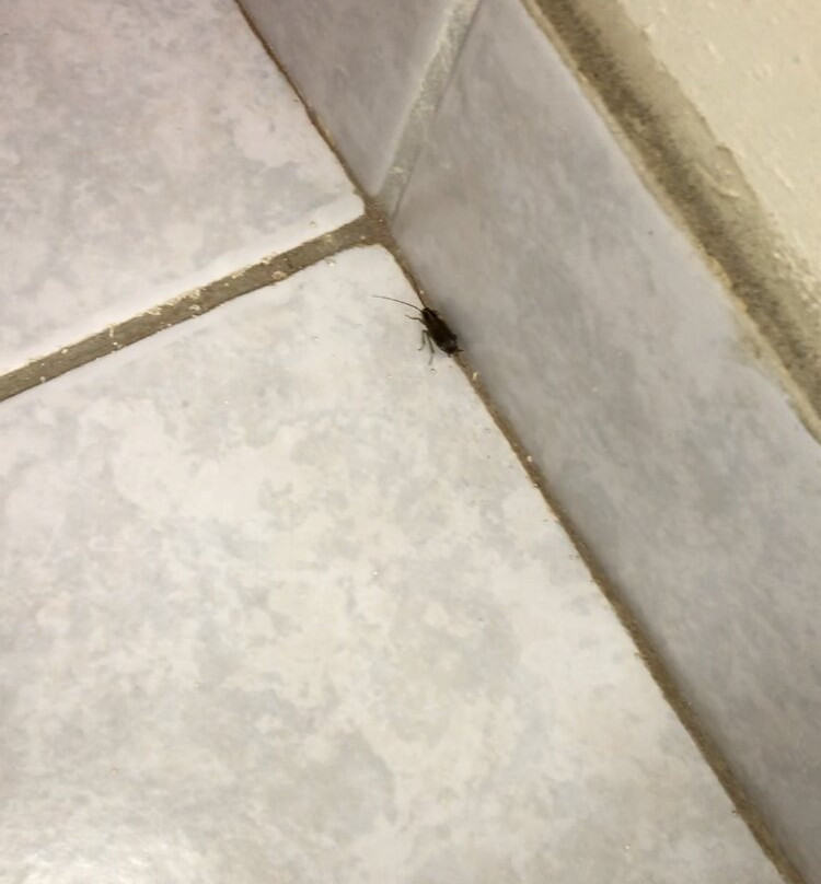 Baymont by Wyndham Muskegon主图