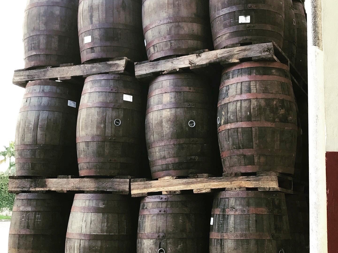 Worthy Park Estate Rum Tour-Linstead必去景点