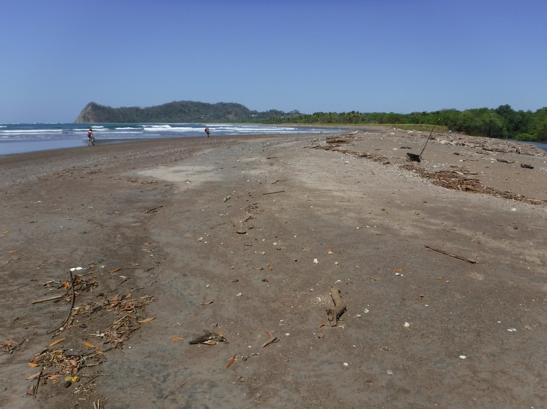 Playa Buena Vista景点图片