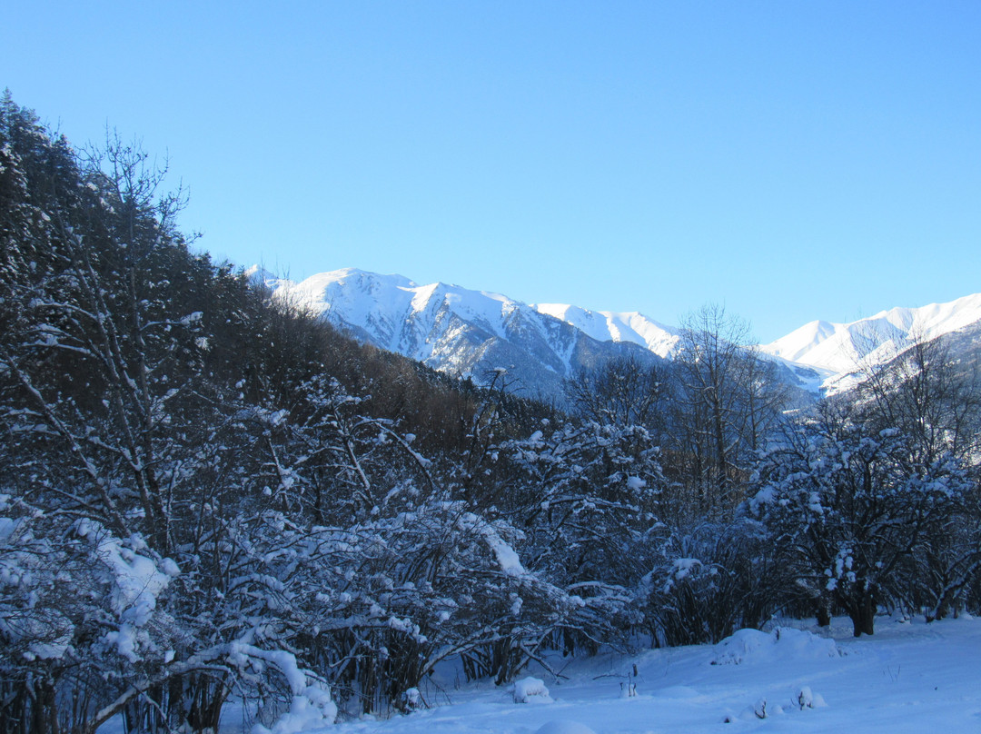 Teberdinsk State Biosphere Reserve-Teberda必去景点