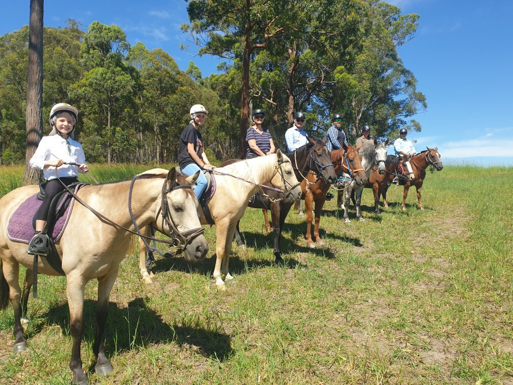 Port Macquarie Horse Riding Centre-麦克夸利港必去景点