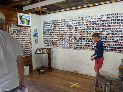 Cape Naturaliste Vineyard-雅林角必去景点