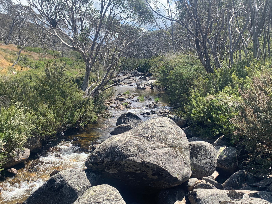 Thredbo Alpine Village景点图片