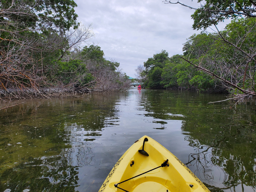 PADDLE! The Florida Keys-Tavernier必去景点