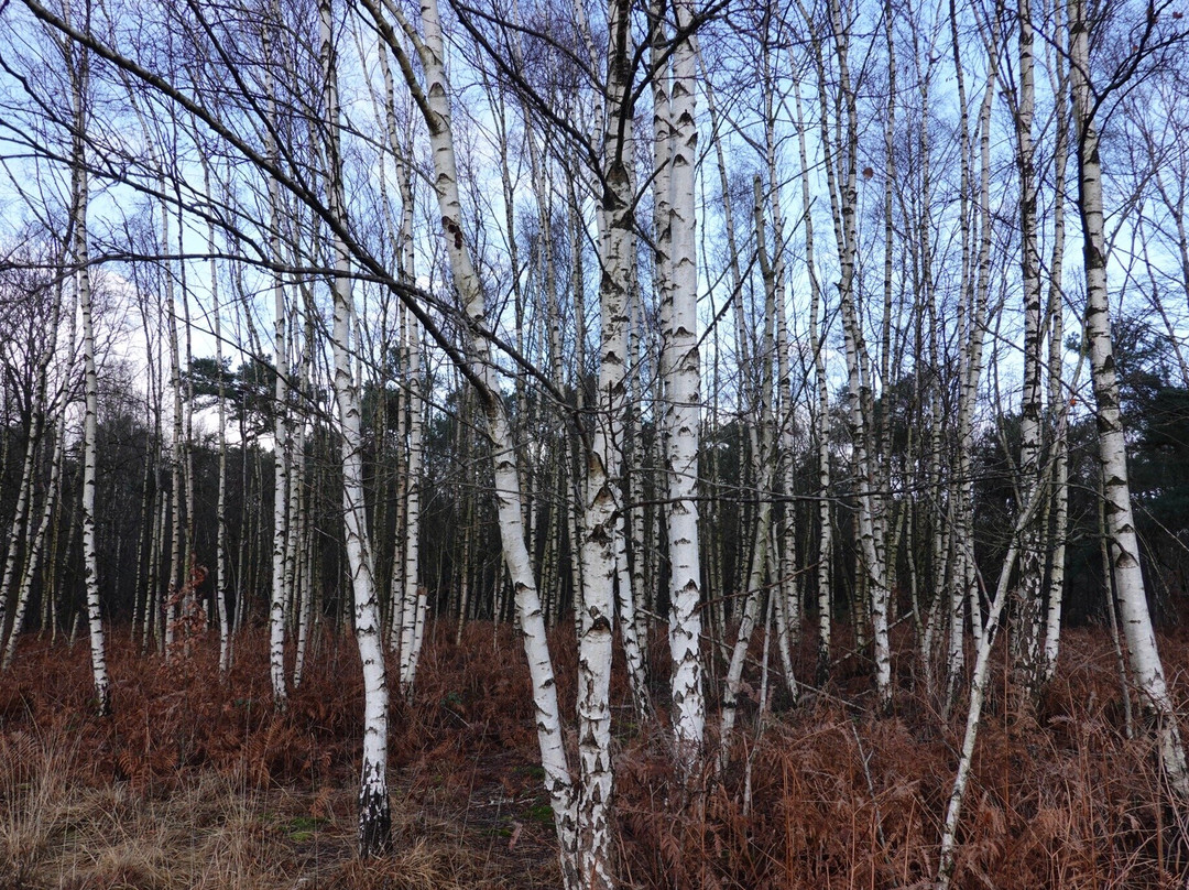 Markdal-Strijbeek必去景点