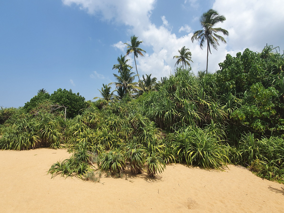 Bandulas Beach House主图