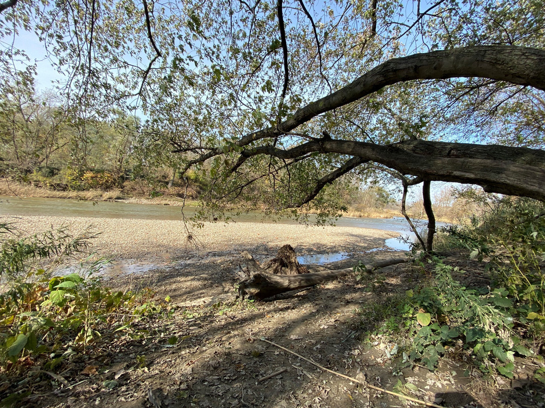 Chagrin River Park景点图片