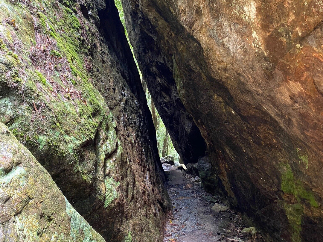 Eco Safaris Queensland景点图片