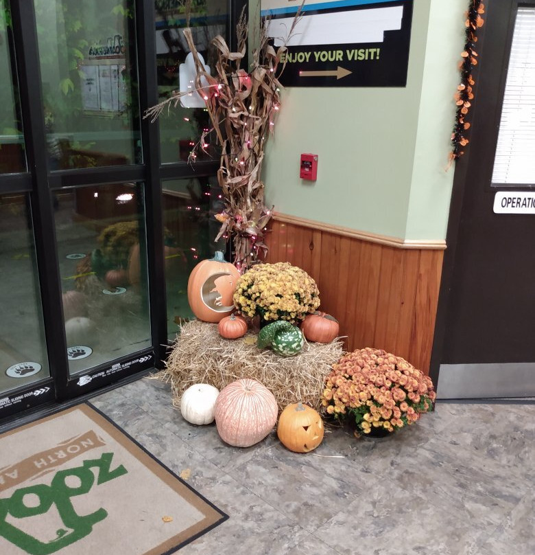 ZooAmerica North American Wildlife Park-好时镇必去景点