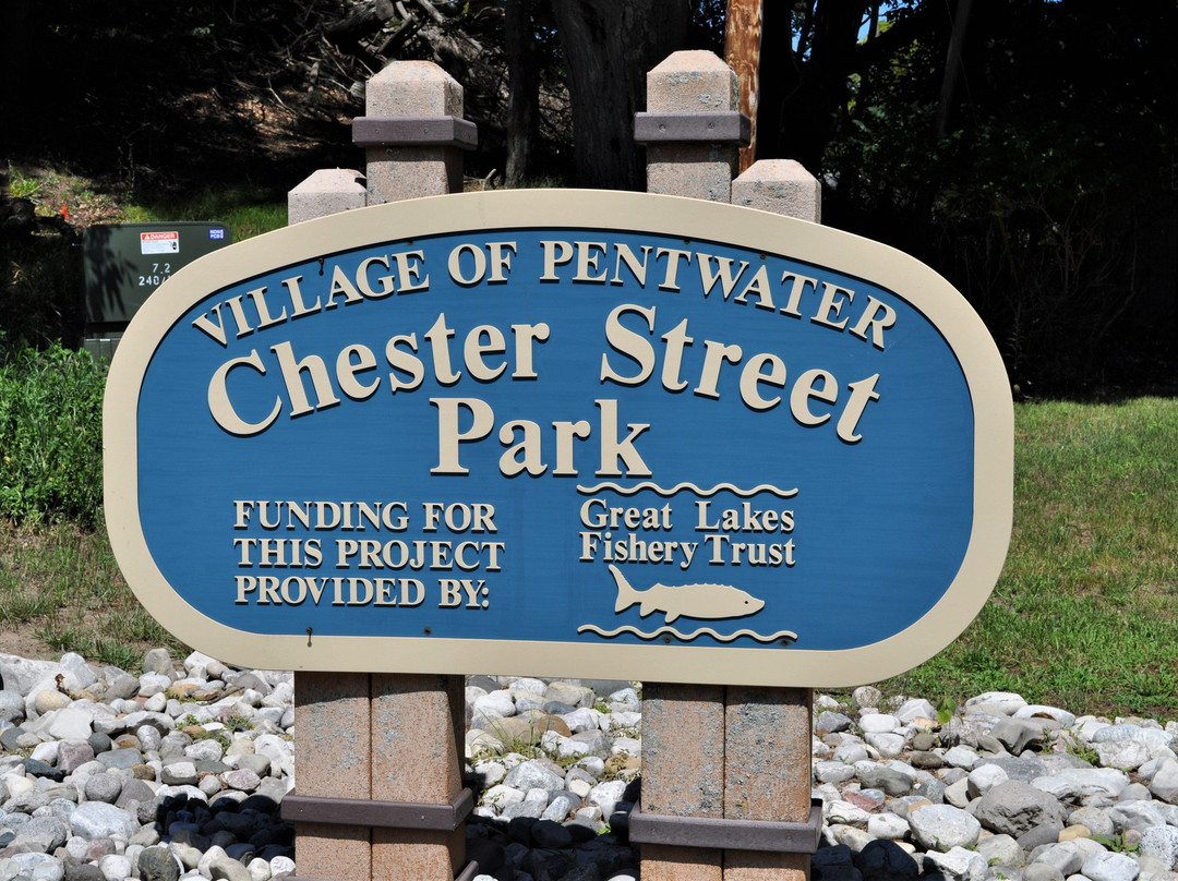 Chester Street Park景点图片