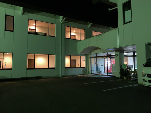 绿色温泉杜鹃主图