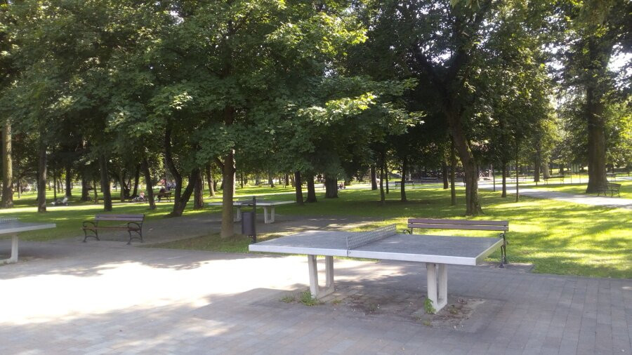 The City Park. Adam Mickiewicz