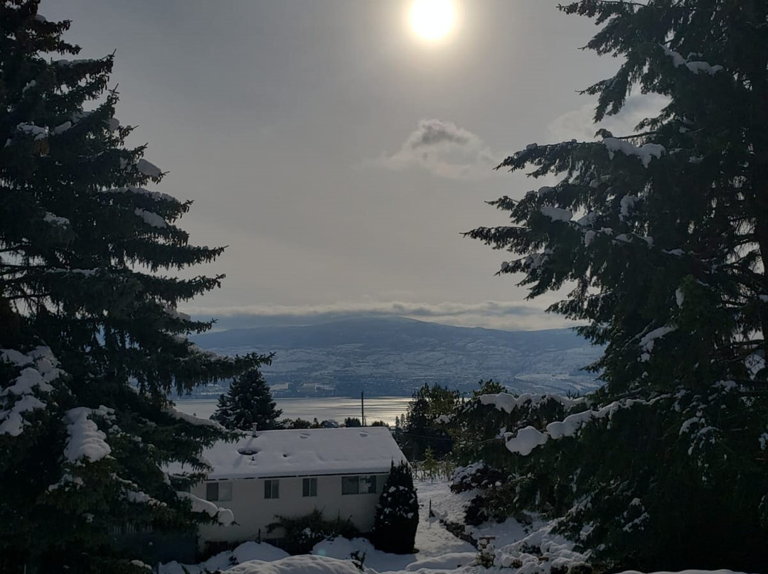 A View to Remember B&B主图