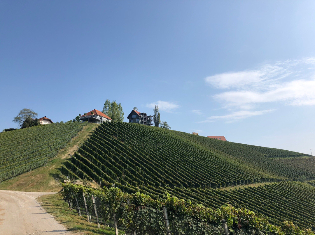 Winzarei Weingut Tement主图