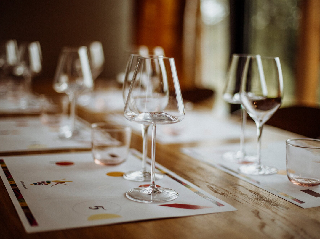 Vk Winery & Gallery景点图片