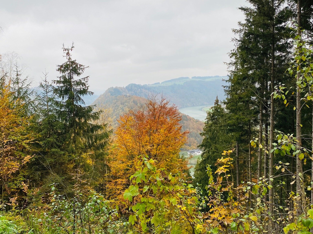 Schlogener Blick-Haibach ob der Donau必去景点