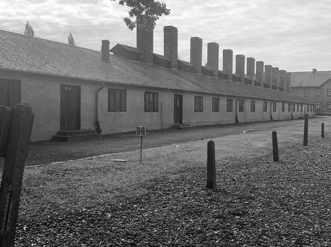 Auschwitz Tour - Krakow Discovery-克拉科夫必去景点