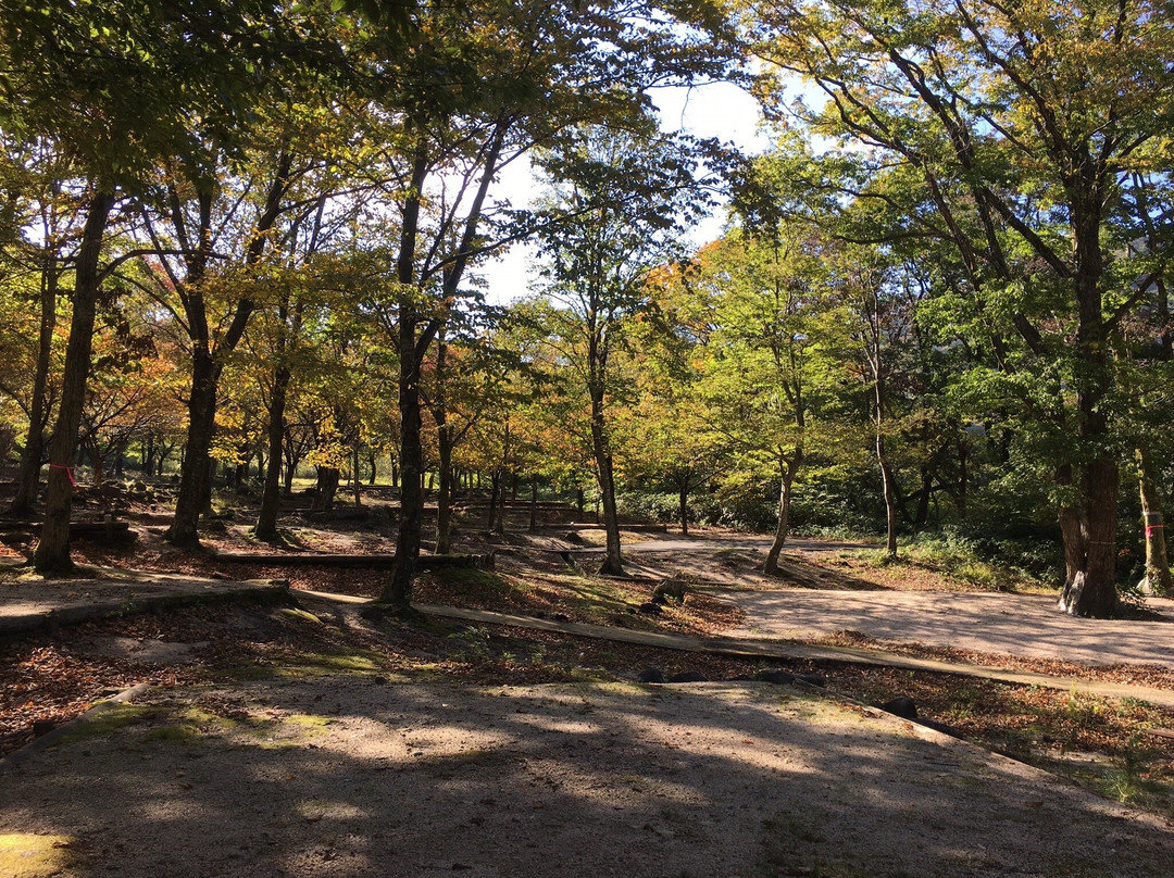 Ikkoganaru Campsite
