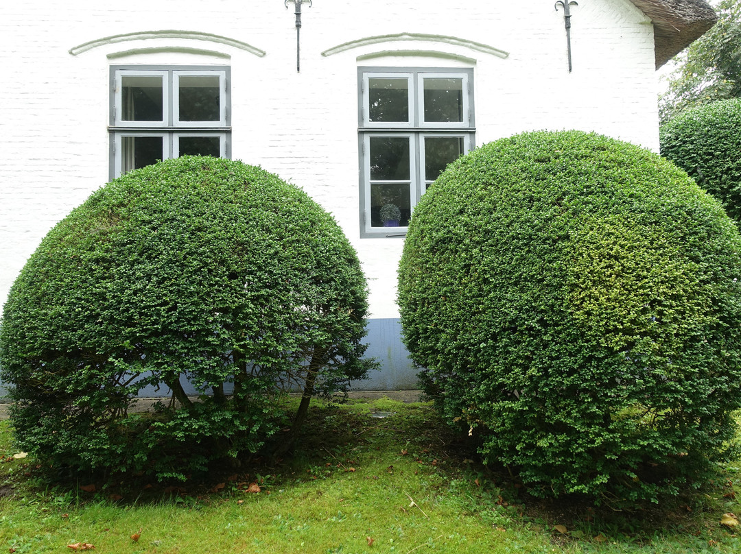 Hochdorfer Garten景点图片