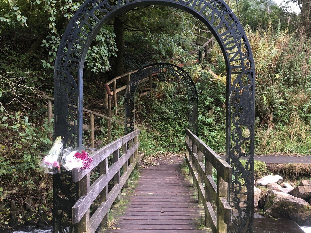 Cwmtillery Lakes景点图片