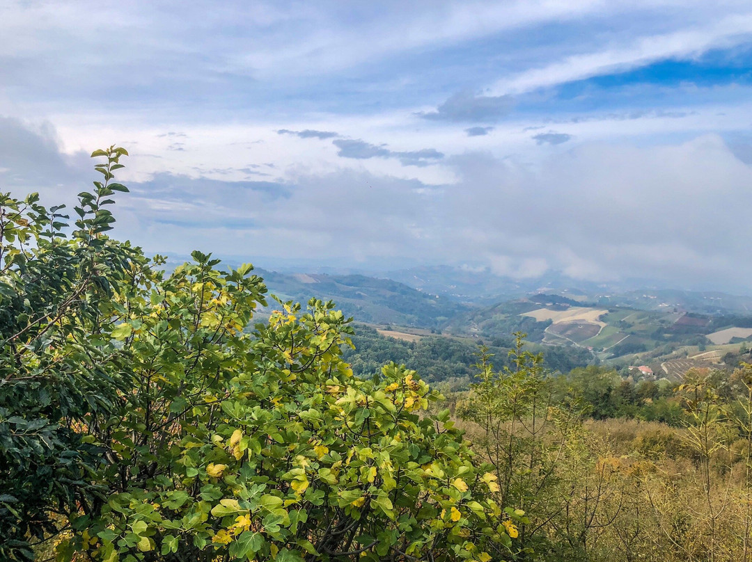 Cascina Langa Space主图