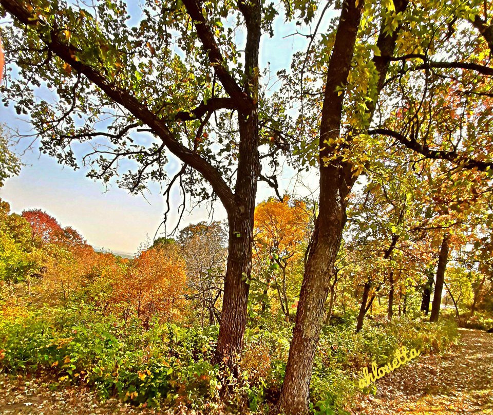 Indian Cave State Park-Shubert必去景点