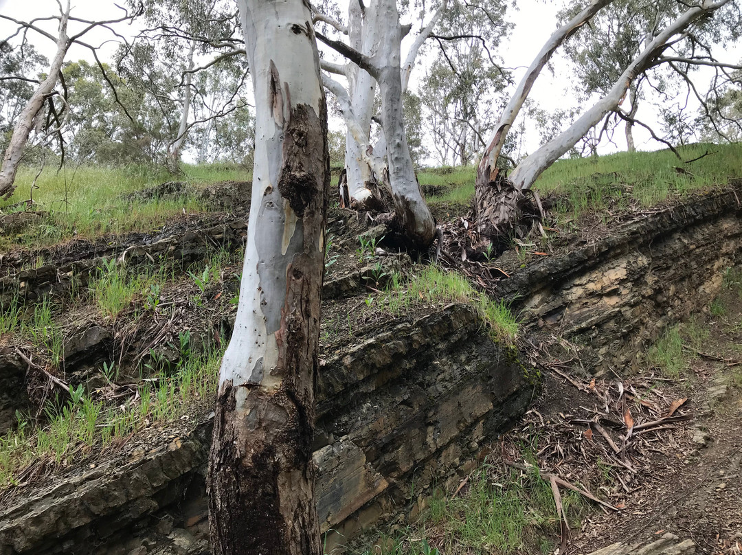 Cheviot Tunnel-Yea必去景点