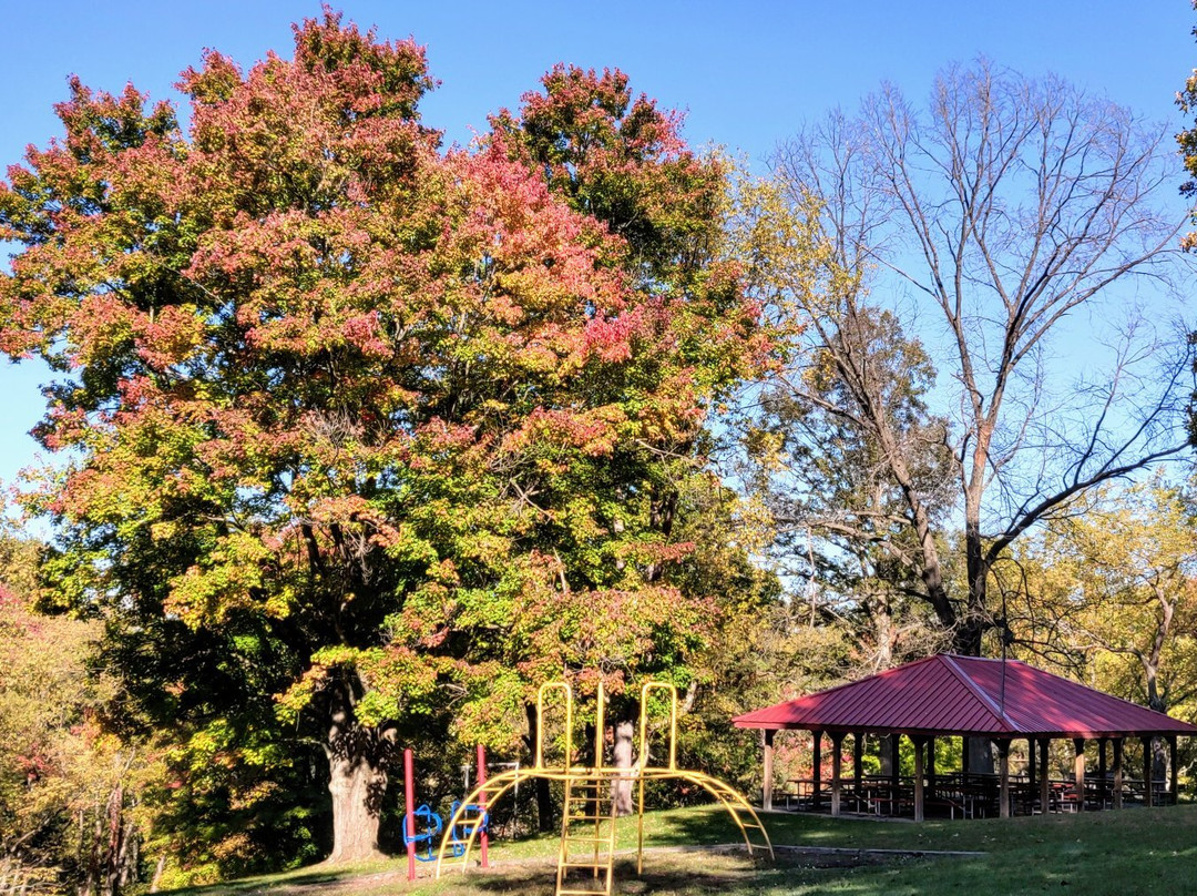 Zelienople Community Park景点图片