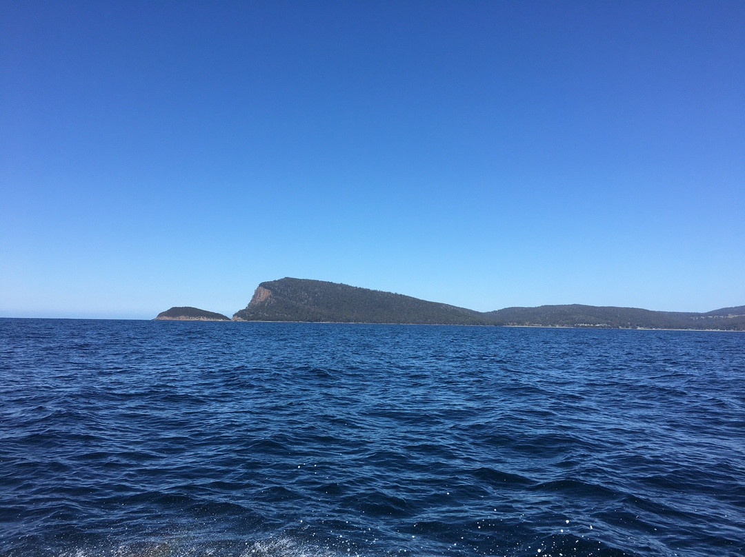 Bruny Island Cruises-霍巴特必去景点