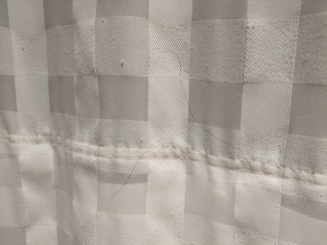 Homewood Suites By Hilton Charlottesville, Va主图