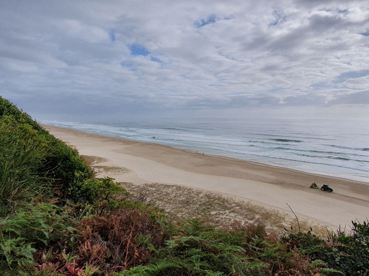 Lores Bonney Lookout